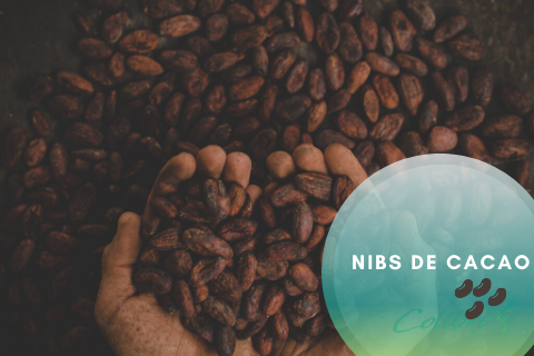 Hablamos de los Nibs de Cacao